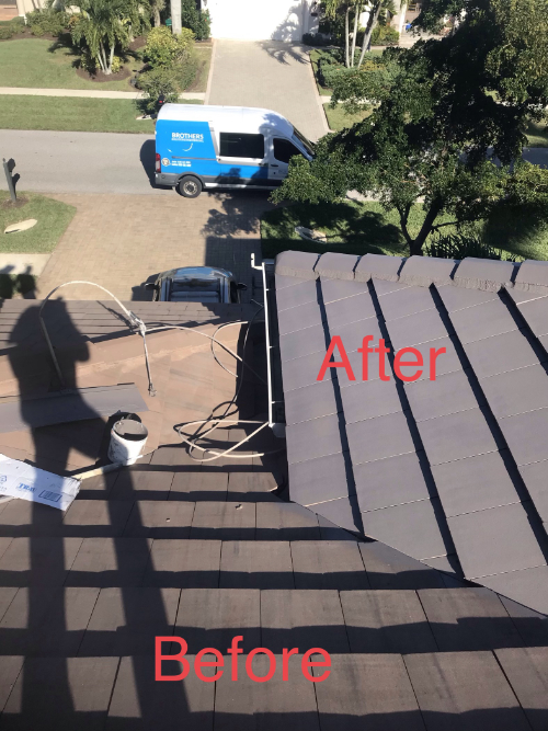 Roof Painting