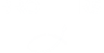 Brothers Solutions Painting
